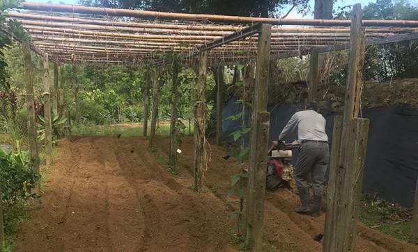 台中雜工(圖二)