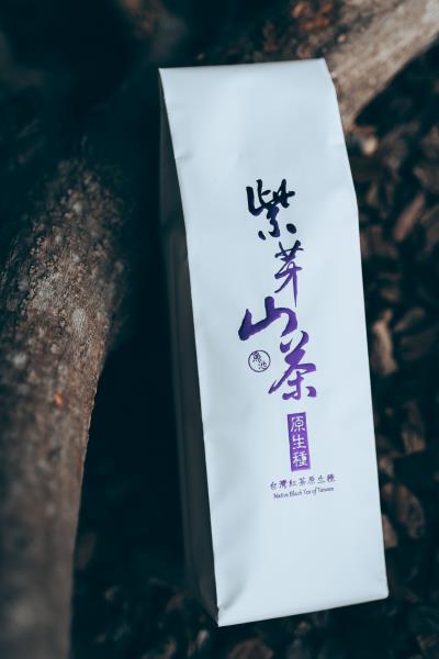 紫芽山茶原生種日月潭-藏山頭