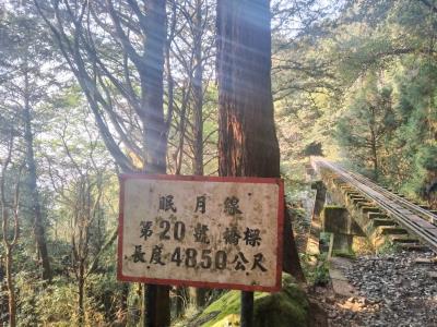 11/15阿里山眠月線一日遊 已開團 歡迎報名~!!