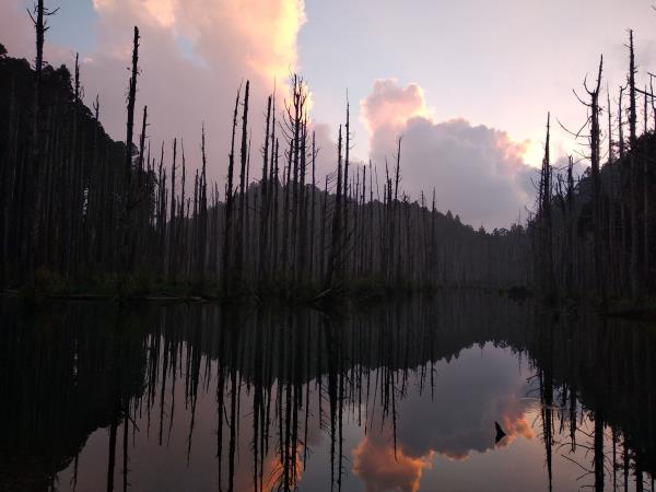 水漾森林兩天兩夜 台北出發