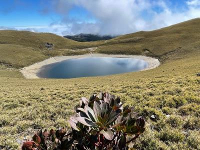 2026/2/1~4嘉明湖四天平日團 池上出發 已開團  歡迎報名~!!
