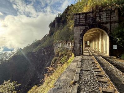 3/28阿里山眠月線一日遊 已成團待抽籤 歡迎報名~!!