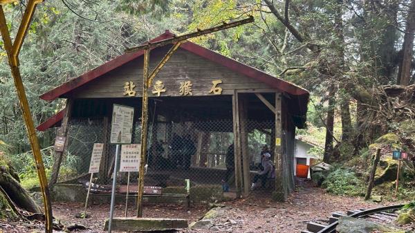 3/28阿里山眠月線一日遊 已成團待抽籤 歡迎報名~!!