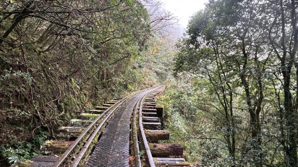 3/28阿里山眠月線一日遊 已成團待抽籤 歡迎報名~!!