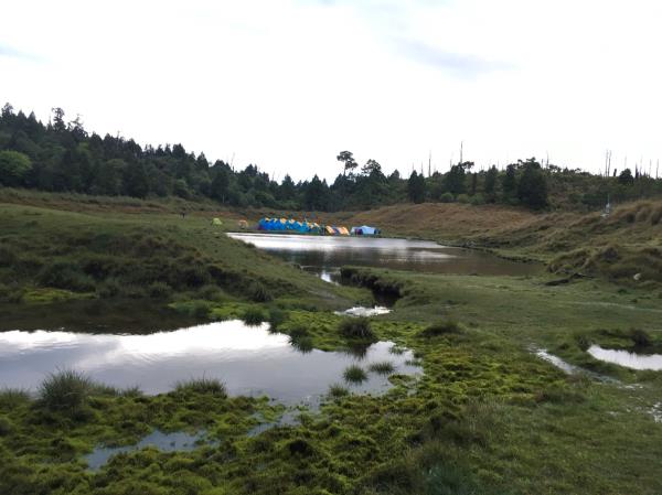 4/4~5加羅湖兩天一夜  已開團  歡迎報名~!!