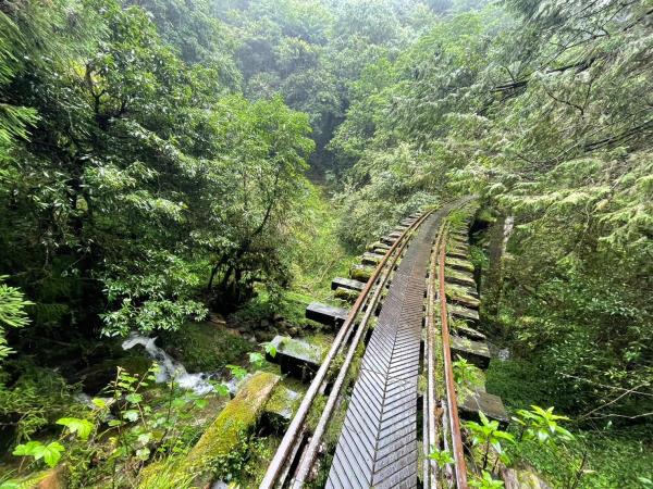 5/24~25特富野古道+阿里山眠月線2日遊 已開團 歡迎報名~!!