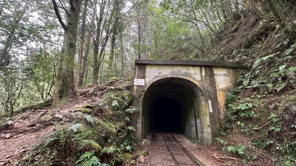 5/24~25特富野古道+阿里山眠月線2日遊 已開團 歡迎報名~!!