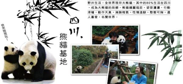 《九寨溝&黃龍+峨嵋山+成都文化交流考察8日》 