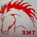 炫馬國際二輪精品