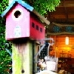 南庄橄欖樹咖啡民宿