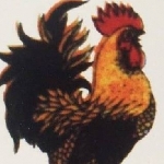 台東放山土雞桶子雞