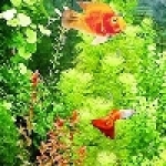 水世界水族生態館