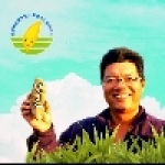 黃金薯-大溝果菜