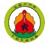 平原嘉義火雞肉飯