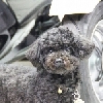 盛鑫機車行(光陽、台鈴、YAMAHA)