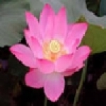 桃園市私立台大老人長期照顧中心養護型