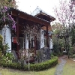 拉拉山―拉拉山留雲軒森林渡假山莊