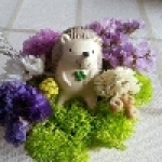 大安庇護農場 (純粹手作)