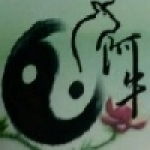 阿牛風水墓園設計