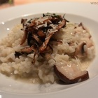 Woolloomooloo (XY)(信義店)