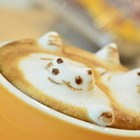 貓旅行咖啡輕食館