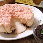 諾亞半熟蛋糕專門店