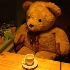 綠野仙蹤Wonderland cafe