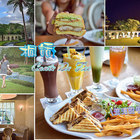 Conte de Fée 桐話