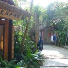 卓也小屋養生館(卓也小屋民宿)