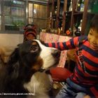 老貳樓串燒居酒屋