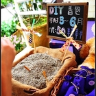 薰衣草森林(新社店)