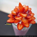 橋咖啡 bridge cafè