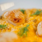 ALLEZ BISTRO 來酒館