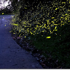 卓也小屋藏山會館