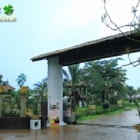 甜客廳(中壢店)