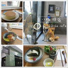 喜八珈琲店 Shiba caf'e