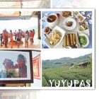 YUYUPAS 優遊吧斯鄒族文化部落