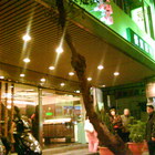 原燒優質原味燒肉(中和景平店)