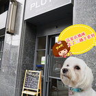 THE PLUTO 布魯特餐廳