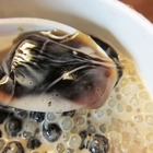 瑪露連嫩仙草(健行店)