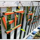 三個娃一個爸野趣窯烤披薩