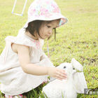 DUCK DOCK飛行碼頭