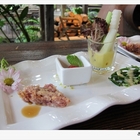 天空之城(鳥vs人)