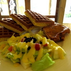 日光貓 Sunbeam Cat