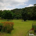 納美花園綠舍歐法料理