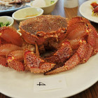 蒸龍宴 活體水產X蒸氣