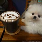 小春日和 動物雜貨