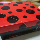 小瓢蟲波士頓派