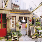 老院子1951。想喝