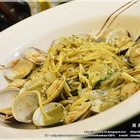 猶大獅廚 The little lion of Judah